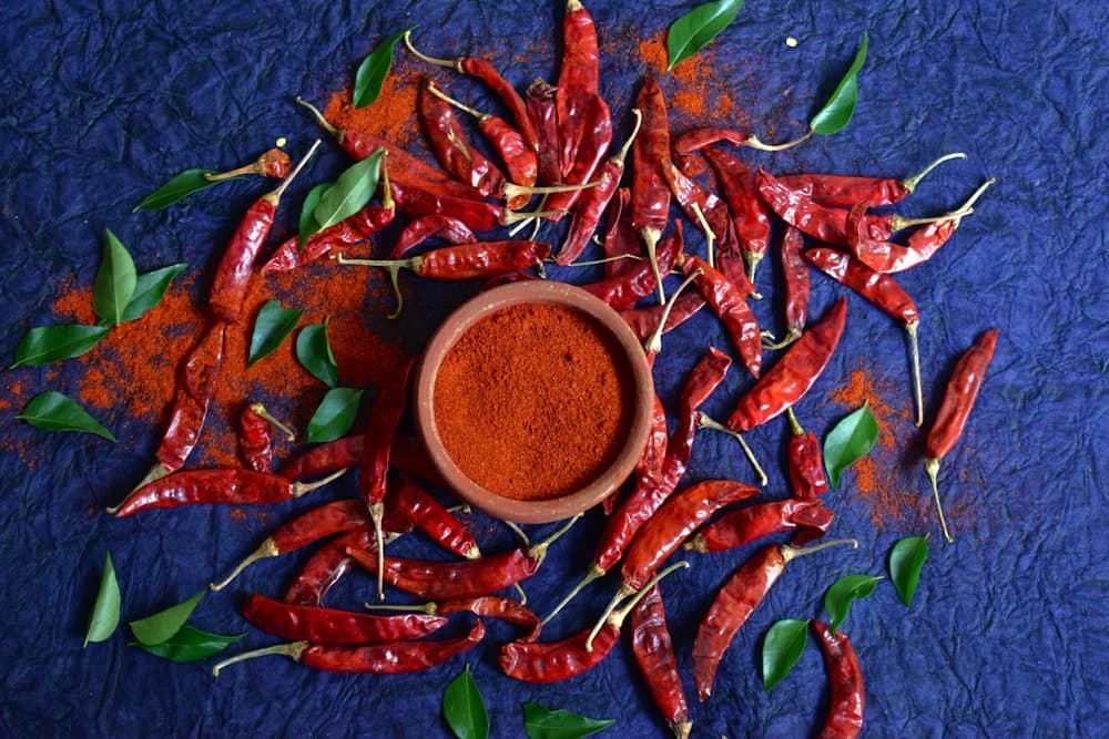Dried red chilies and spices